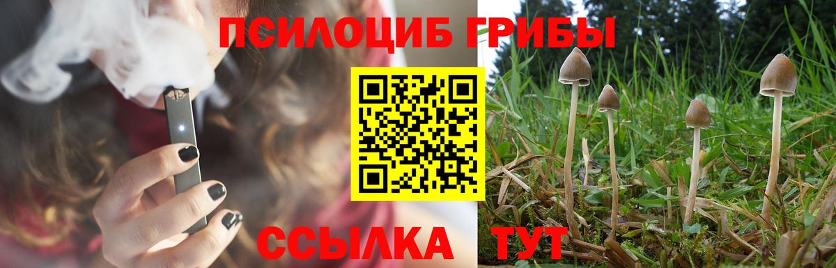 Галлюциногенные грибы мицелий Канаш