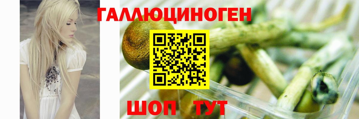 Канаш  Галлюциногенные грибы MAGIC MUSHROOMS  Вход с VPN 